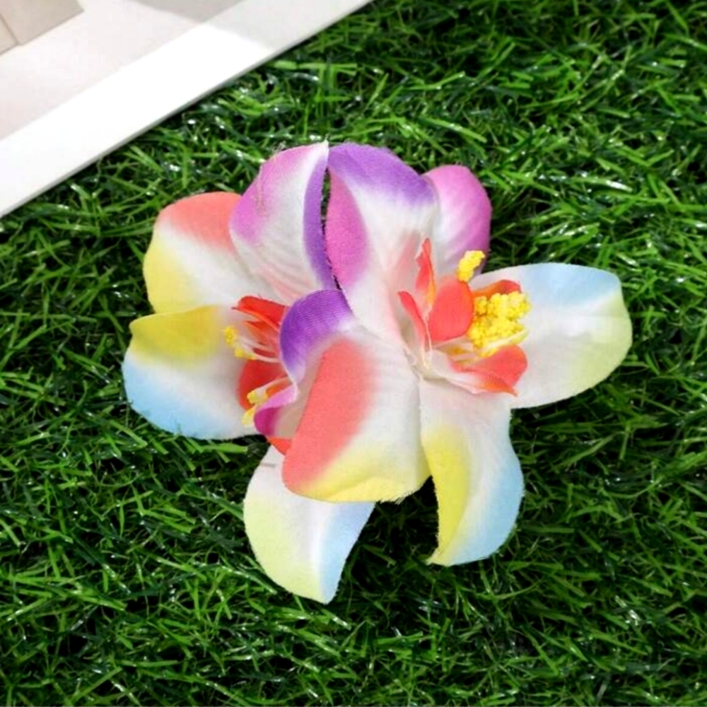 🪻🌸hair Clip🌺🌼